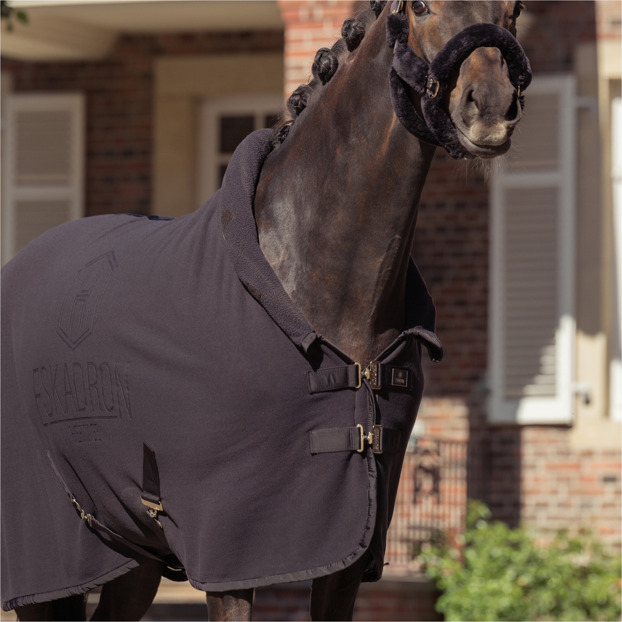 2025 Eskadron Heritage Double-Fleece High Neck Rug 126158 277 090 - Black Truffle